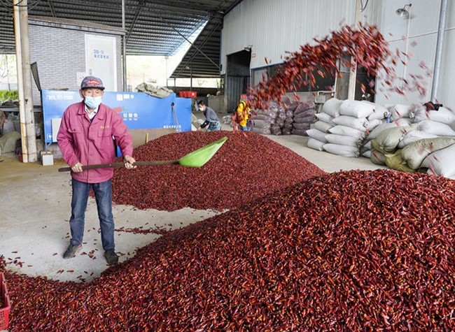 Central Government Awards RMB 420 Million to Chongqing for its Fight Against Poverty