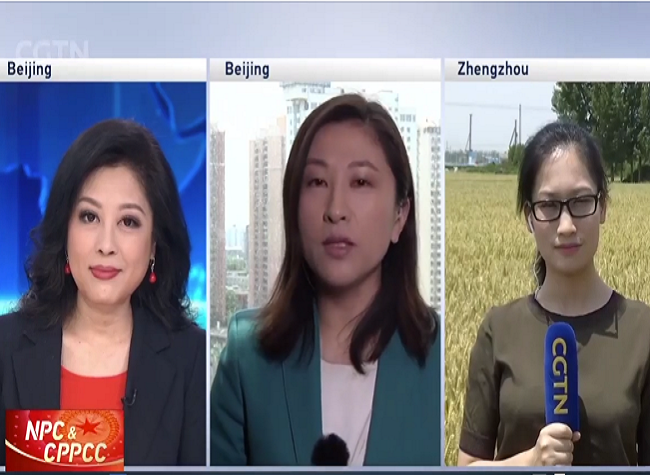 What do NPC and CPPCC attendees expect from this year's Two Sessions?