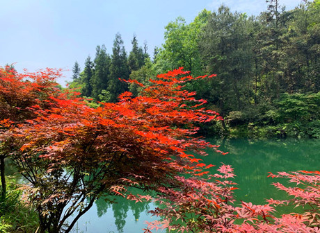 Labour Day Holiday Outing Around 'Nine Pheonix' Mountain - Vlog