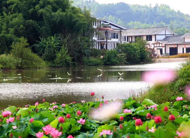 Countryside