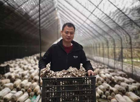 Chongqing-based Members of the CPPCC National Committee Submitted 106 Proposals in 2019