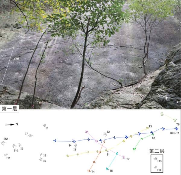 Footprints of Strongest Carnivorous Dinosaurs Living in Early Jurassic Discovered in Chongqing | ichongqing