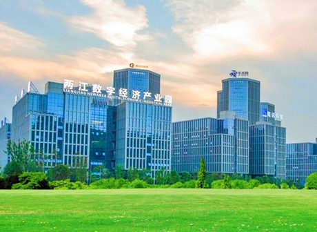 Chongqing Liangjiang New Area Showcases Bright Industrial Future on Ten Year Anniversary