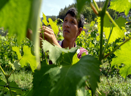 Close-up Experiences of Daily Life in Shuanglong and the Achievements of Enterprising Villagers - Vlog 2