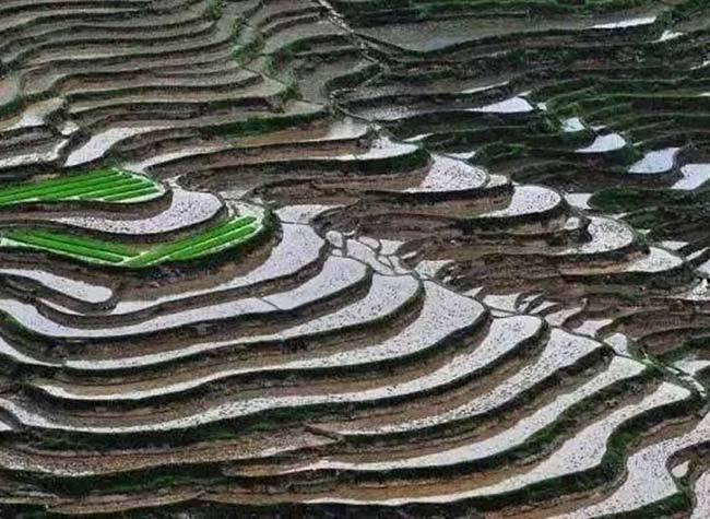 Summer Tourist Destination: Gorgeous Terraces in Chongqing's Southeast