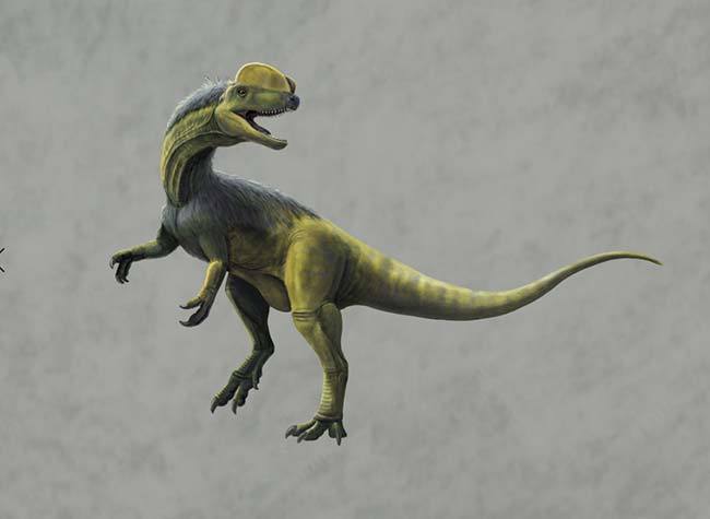 Footprints of Strongest Carnivorous Dinosaurs Living in Early Jurassic Discovered in Chongqing