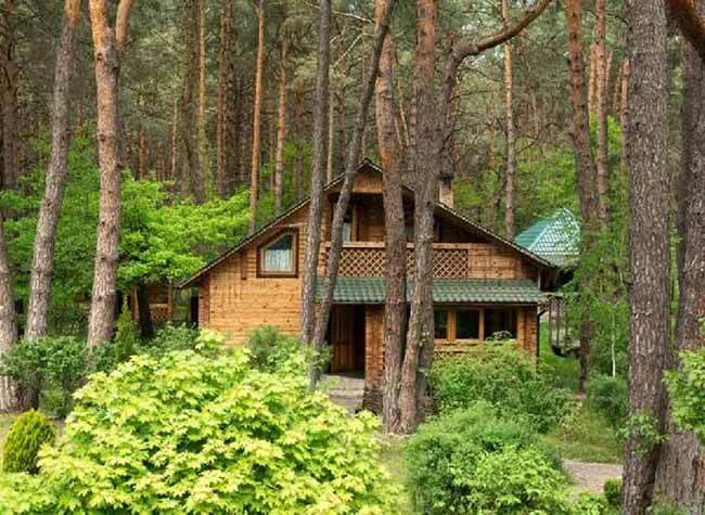 Find a Bucolic Log Cabin for an Escape from Urban Bustle and Hustle