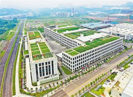 Beyond Imagination! Come Explore Chongqing's Largest Roof Vegetable Garden