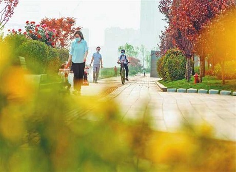 Enjoy Green Space of 1 Million Square Meters in Downtown Chongqing