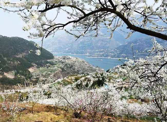 A Map for Rural Tourism in Chongqing