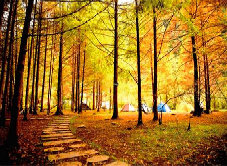 The Exotic Tujia Homelands of Shizhu County are a Paradise for Well-Being