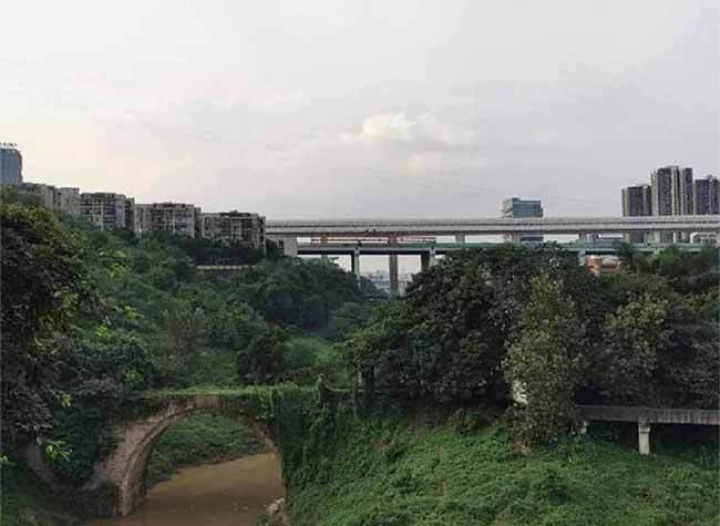A New Landscape in Chongqing: Five Bridges in Sight