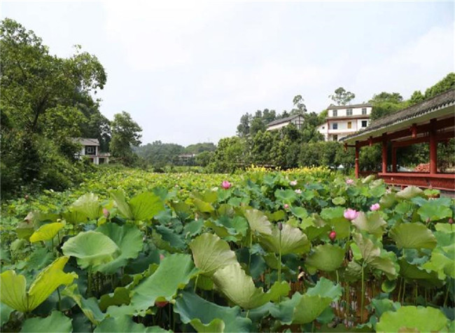 Find the Life You Dream About in Yubei, Chongqing