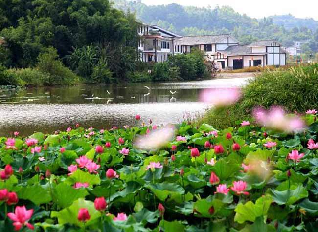 The Most Desirable Summertime at These Chongqing Homestays