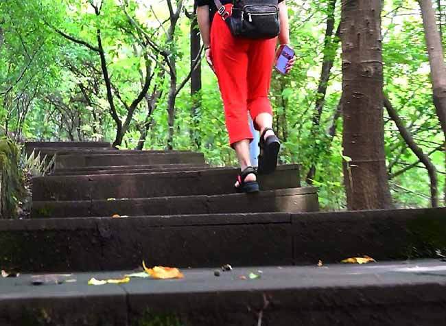 Chongqing to Start Construction of Five Trails in H2 2020