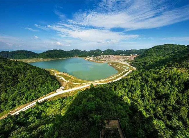 A Hammock in the Forest, A Good Nap in the Gentle Breeze