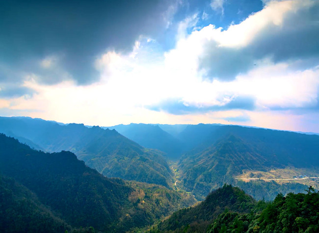 Shizhu's Virtual Studio Brought Audiences to the World of Primeval Forest