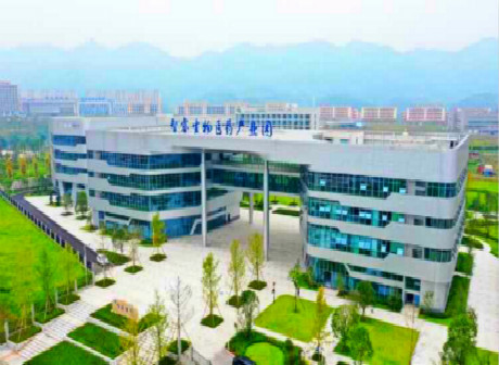 Chongqing International Biological City and Smart Tech Industry Drives the Future of Banan District