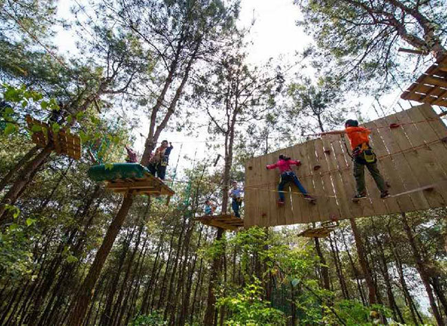 Summer Resorts in Yubei District to Cool You Down