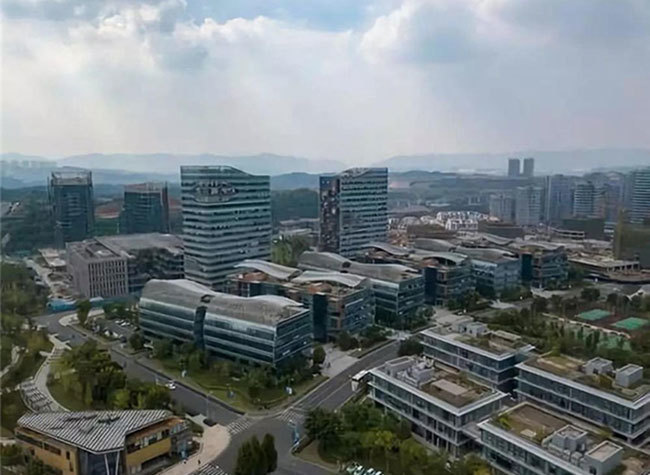 Yubei Ratchets Up Digital Economy Development