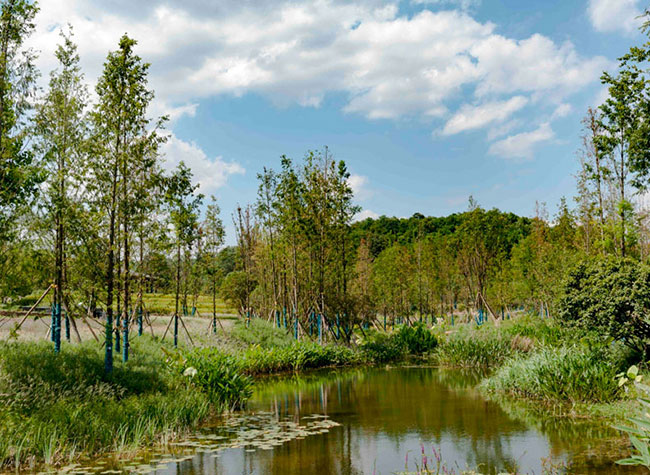 Guangyang Island Open to Public after Ecological Restoration | ichongqing