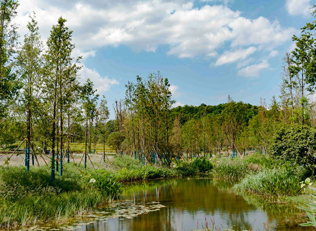 Guangyang Island Open to Public after Ecological Restoration