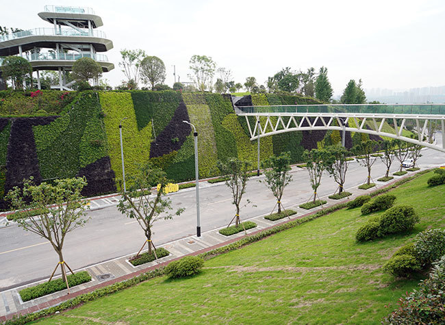 Liangjiang New Area and Hunan University Jointly Establish the New Institute