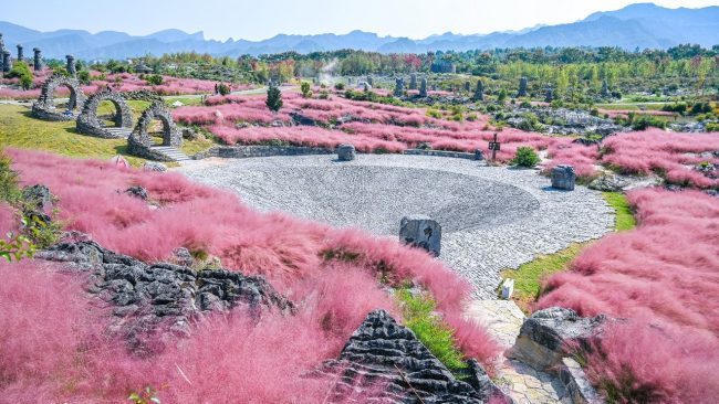 500 Million Years' Journey to the Youyang Stromatolite Blossom Valley