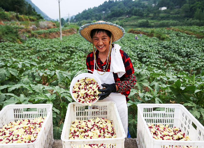 City Launches Pro-Consumption Campaign to Aid Poverty Alleviation
