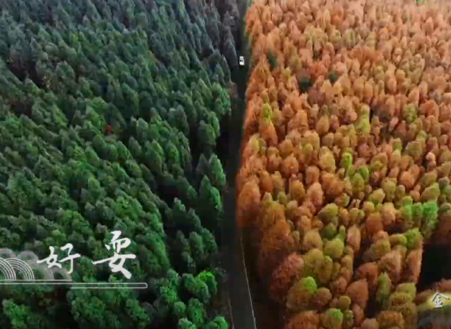Nanchuan Reveals its