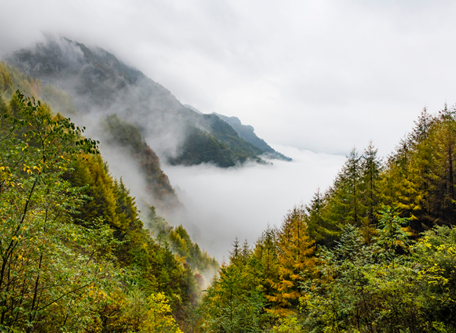 Kaizhou: Sending Party Leaders Out to Assist in Poverty Alleviation