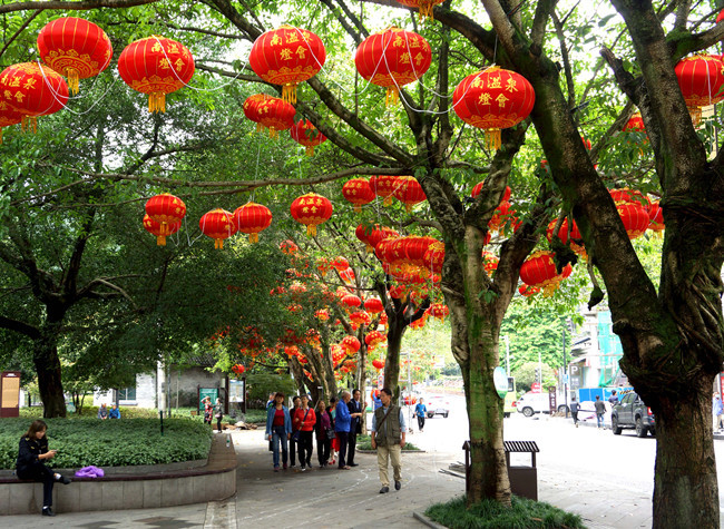 2020 China Nature and Sado Culture Festival Kicked off