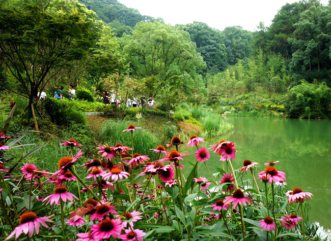 CNCEC Eco-environment to Settle Its Headquarters in Chongqing