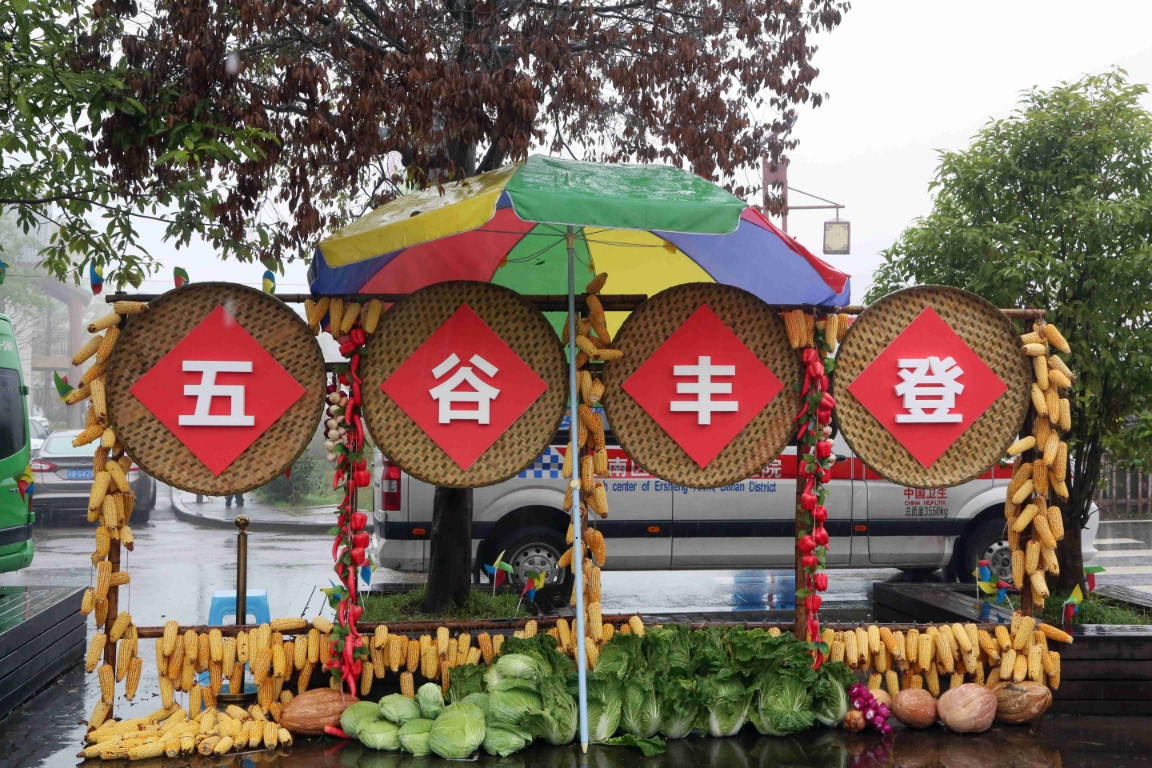 Chongqing Celebrates Chinese Farmer's Harvest Festival to Embrace