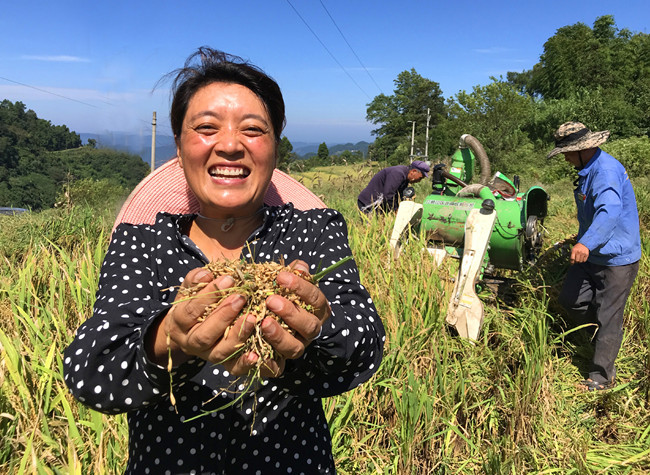 Chongqing Celebrates Chinese Farmer's Harvest Festival to Embrace Prosperity