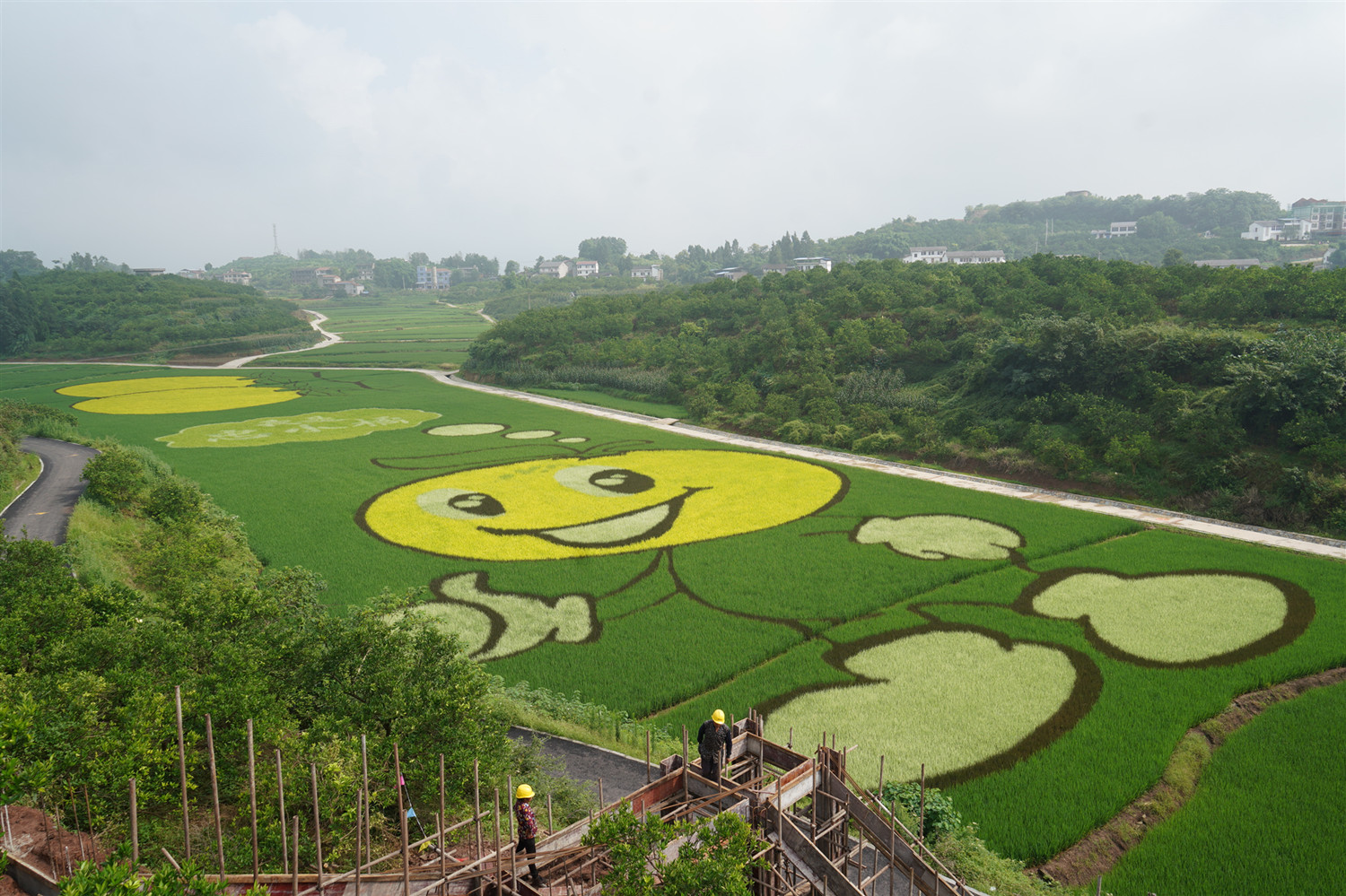 Chongqing Celebrates Chinese Farmer's Harvest Festival to Embrace
