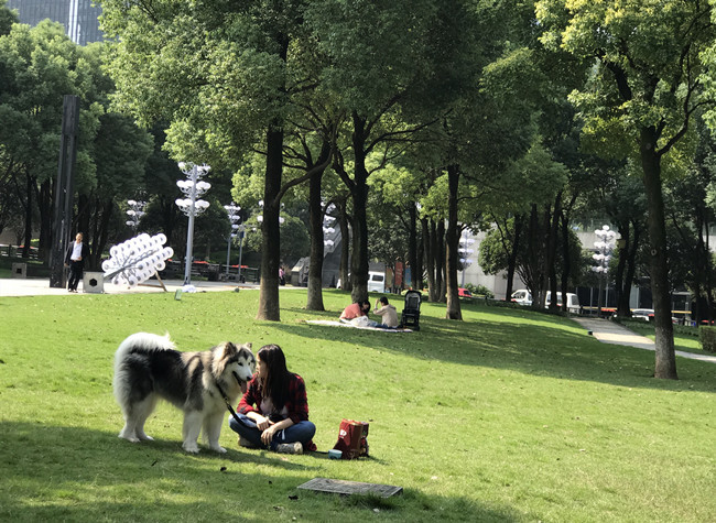 Ideal Resorts for Sweet-Scented Osmanthus Viewing in Yubei
