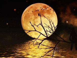 iChongqing Presents You Fun Tales about the Mid-Autumn Festival