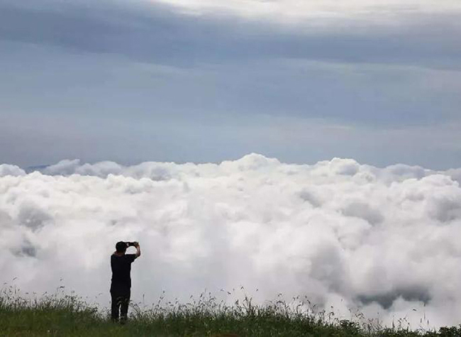 Enjoy Dasheng Town in Yubei District for Natural Summer Beauty
