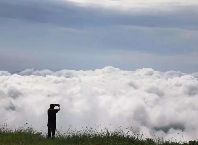 Enjoy Dasheng Town in Yubei District for Natural Summer Beauty