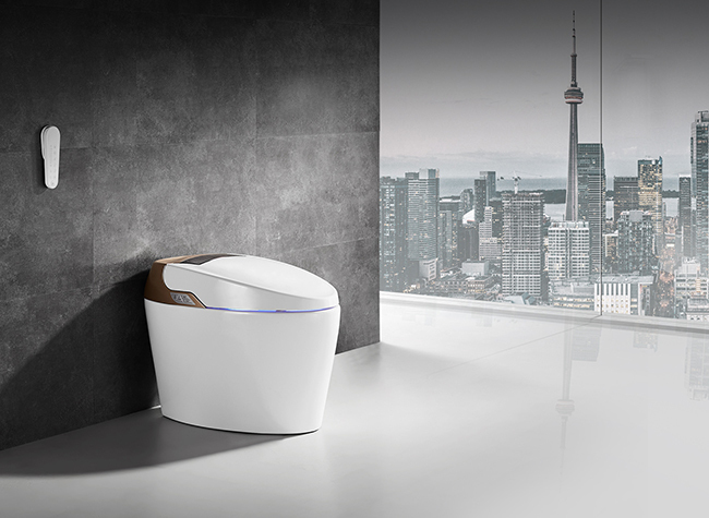 Two Types of Made-in-Chongqing Smart Toilets Mass-produced