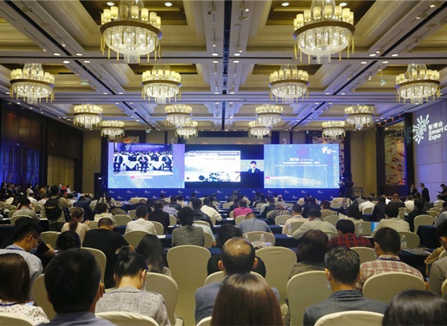 2020 China-Singapore (Chongqing) Dedicated Connectivity Channel Development Forum Opens