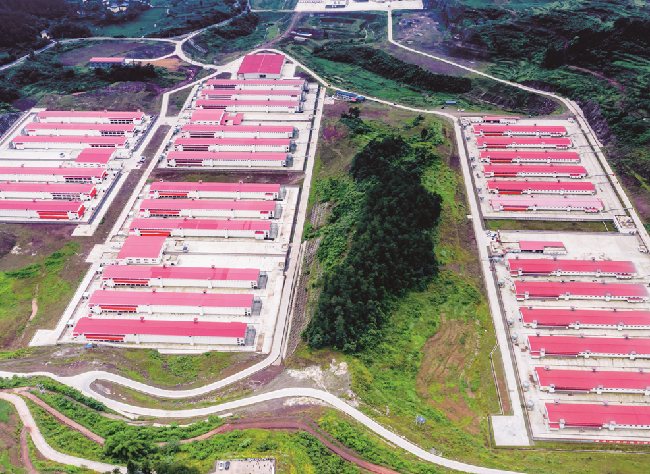 Enterprise, Finance, Brand: The Three Musketeers in Fengdu's Poverty Alleviation