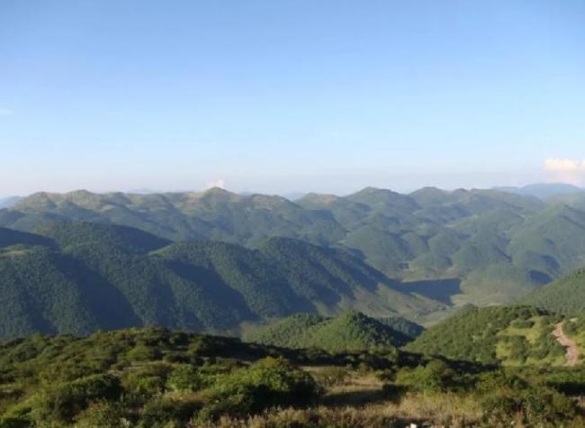 Chongqing's Highest Peak Will Make You Cry Out in Wonder