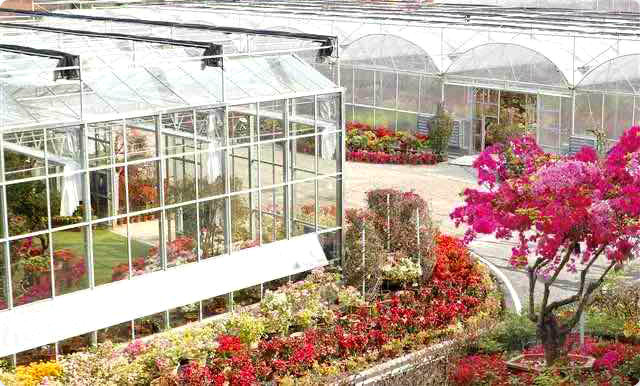 Tongliang: Livestreaming Is Adding to Poverty Alleviation and Rural Development