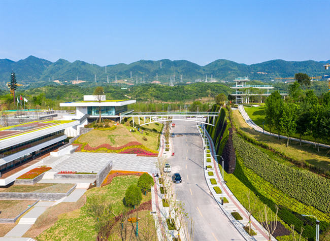 Collaboration Empowers Innovation and Business Start-ups in Liangjiang New Area