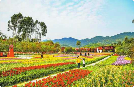 County Governance in China | Xinhua Global