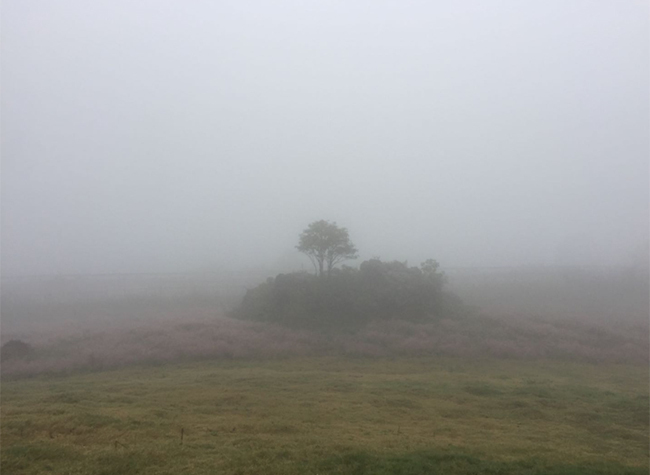 Kai's Open Letter to the World: Improving COVID-19 Pandemic Response