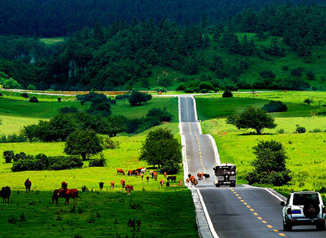Fairytale Karst Wonderland of Wulong District Transforms the Imagination