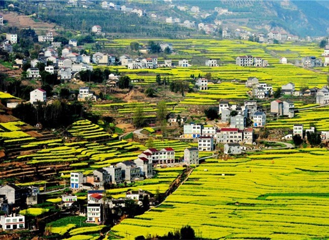How Wuxi County Lifts Ten Thousand People out of Poverty